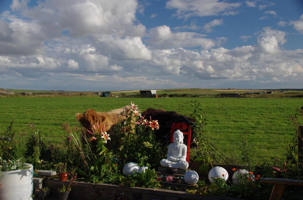 Carrig Lios Bed & Breakfast Thurso Exterior photo